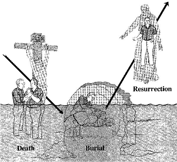 burried with christ in baptism, purpose of baptism, graphic of romans 6